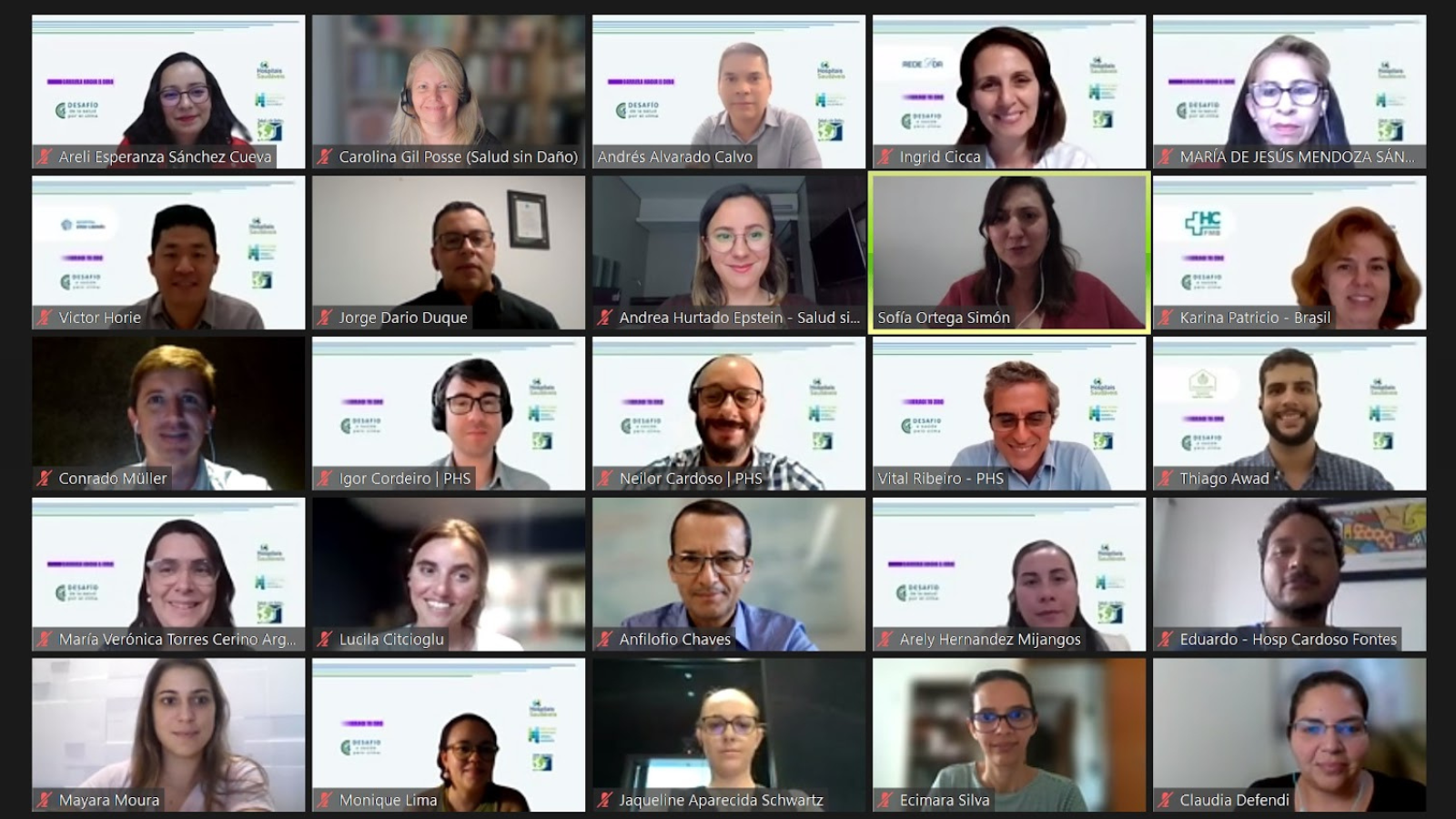 Se realizaron encuentros virtuales para miembros de la campaña "Carrera hacia el cero" en América Latina