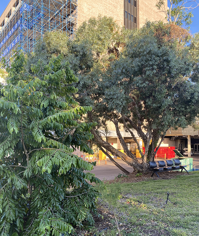 Shaded seating area